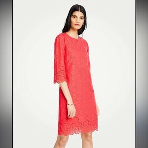 NWT Ann Taylor Eyelet Dress Size 4P